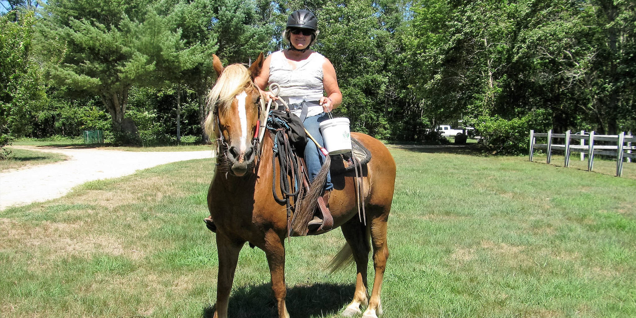 Rhode Island Federation of Riding Clubs Celebrates 50th Anniversary