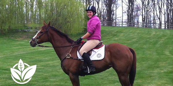 Thoroughbred Makeover Contestant Looking Great!