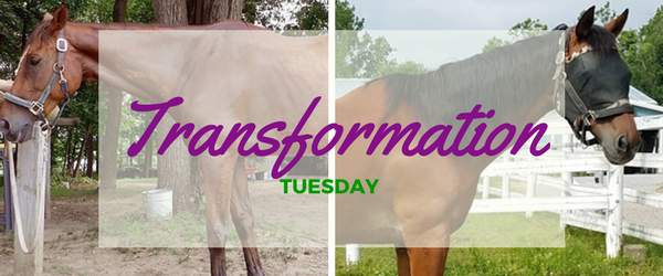 Transformation Tuesday!
