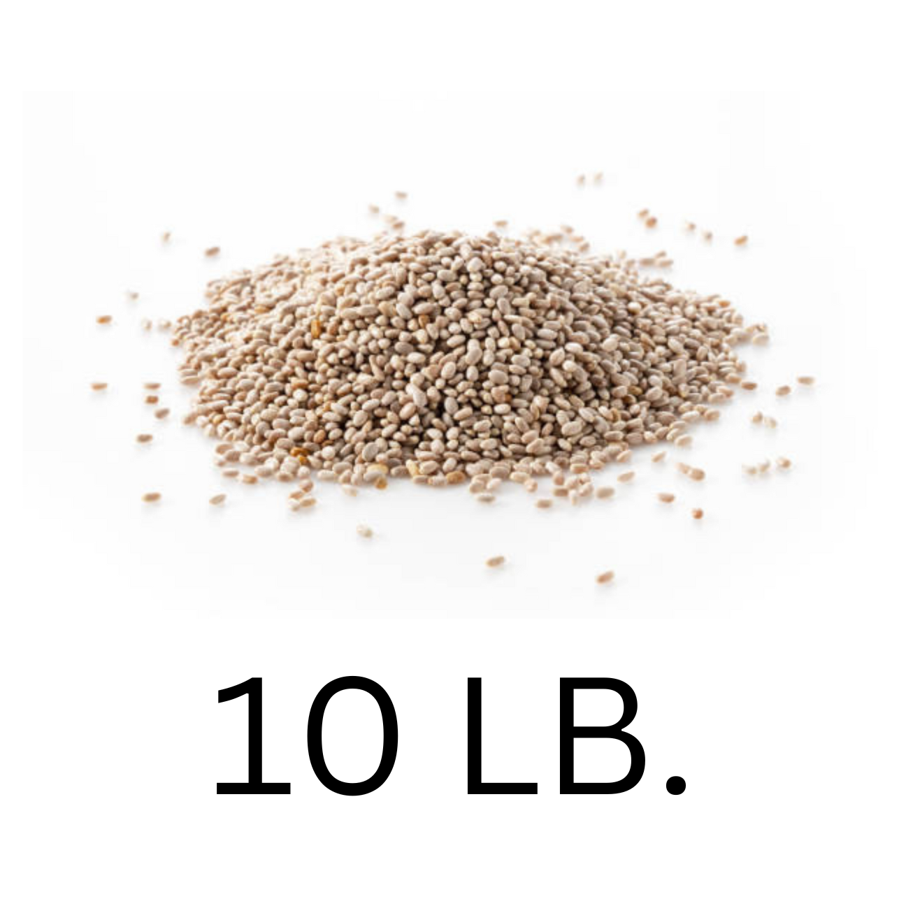 thumbnail image 2 of NUESTRA SALUD Organic Chia Seeds - 100g Resealable Zip-Lock Bag 2 of 4